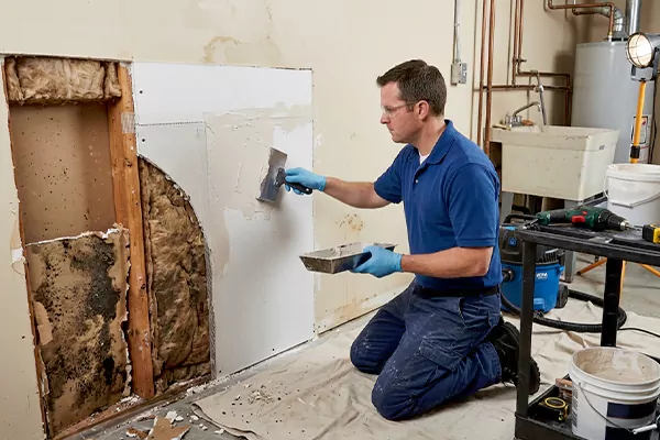 Mold and Drywall Repair Moreno Valley