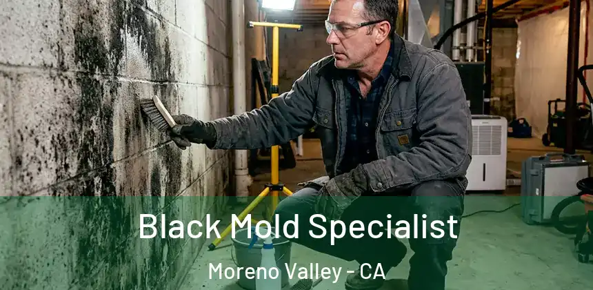  Black Mold Specialist Moreno Valley - CA