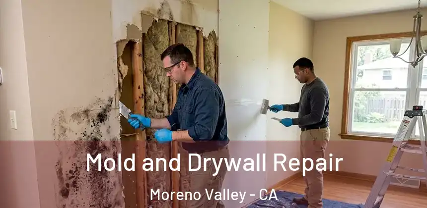  Mold and Drywall Repair Moreno Valley - CA