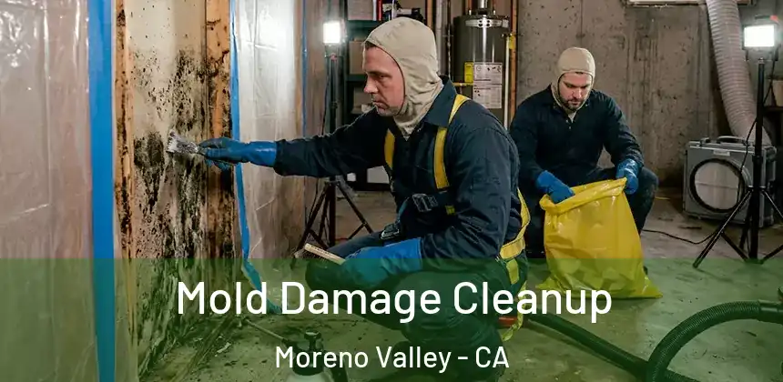  Mold Damage Cleanup Moreno Valley - CA
