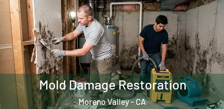  Mold Damage Restoration Moreno Valley - CA