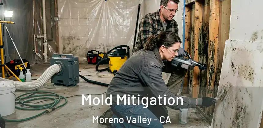 Mold Mitigation Moreno Valley - CA
