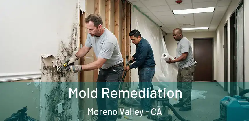  Mold Remediation Moreno Valley - CA
