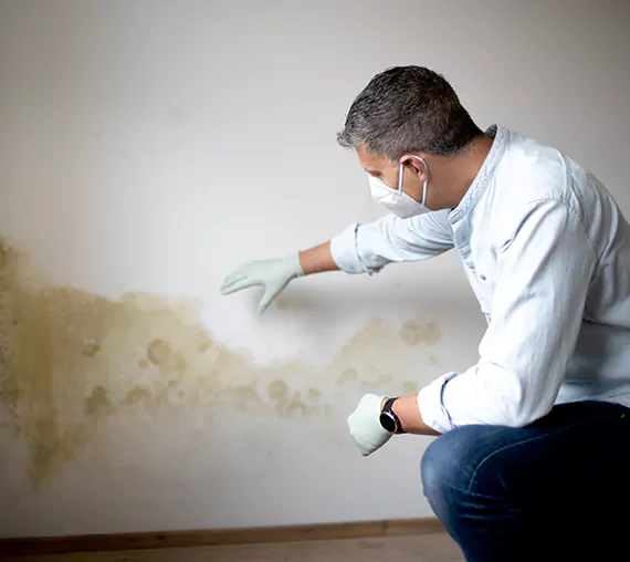 Mold Removal Service in Moreno Valley, CA